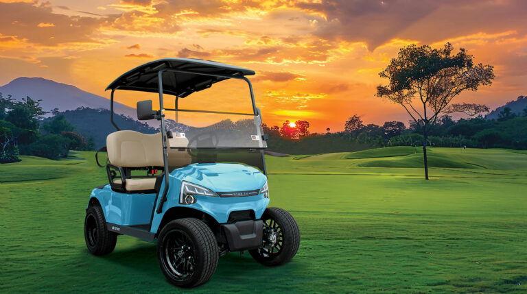 SAVE STROKES, 10 Great Golf Carts, tomberline golf cart