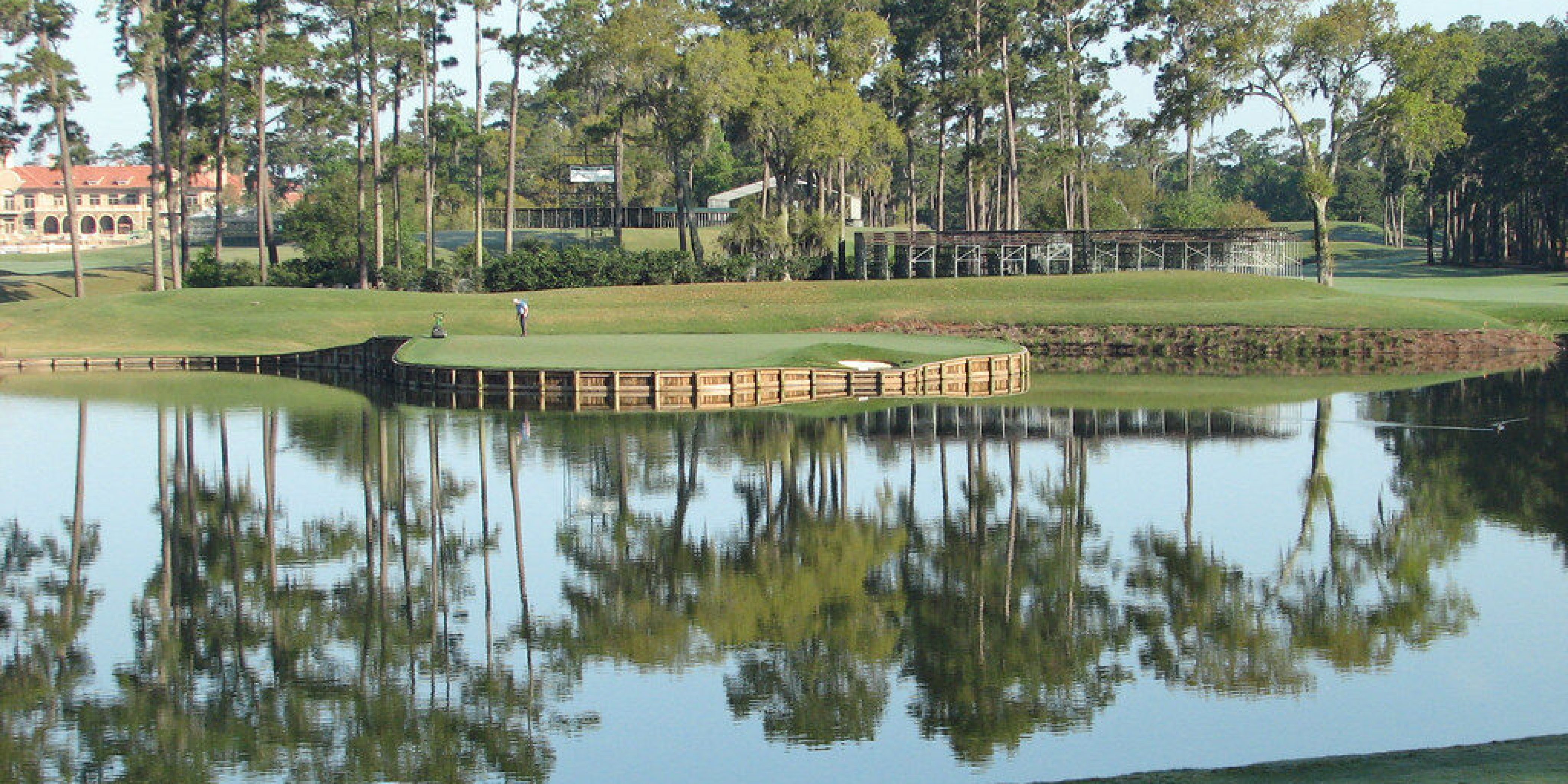 save strokes, The SAVE Grip Fitting Checklist, 17, hole. TPC