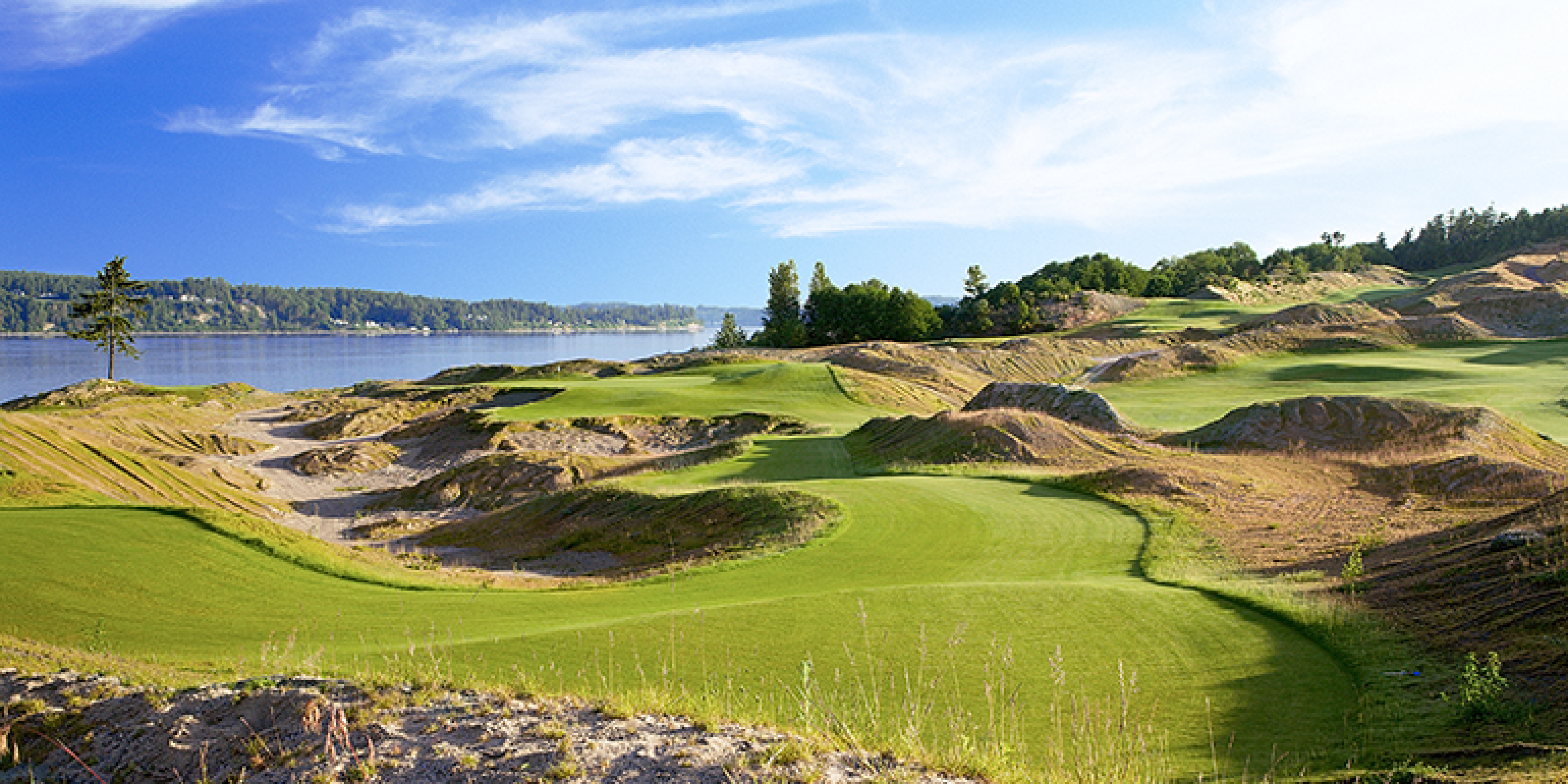 save strokes, Top Washington Public Golf Courses, Chambers Bay – Robert Trent Jones II