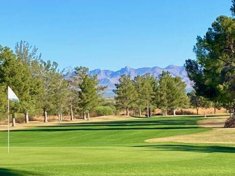 save strokes.Putting Practice SAVE Strokes, green, valley, golf, club, az,