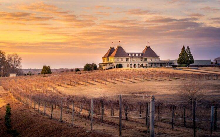 save strokes, Best Golf & Wine Resorts, Chateau, Elan, Winery